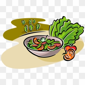 Vector Illustration Of Fresh Green Salad With Romaine - Cooked Vegetables Clipart, HD Png Download - salad clipart png