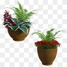 Flowerpot, HD Png Download - garden plants png