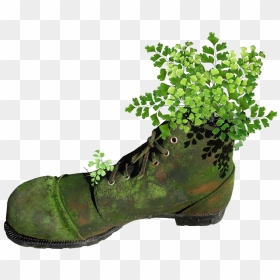 Boot, Old, Mossy, Planter, Fern, Garden, Novelty - Old Boot Png, Transparent Png - garden plants png