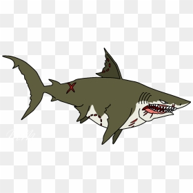 Hungry Shark Wiki - Requiem Shark, HD Png Download - megalodon png