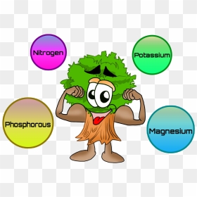 Nutrients For Plants Clip Art - Nutrients Clipart, HD Png Download - garden plants png