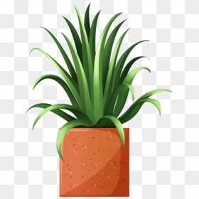 Clip Art Of Beautiful Plants For The Spring Garden - Potted Plant Clip Art, HD Png Download - garden plants png