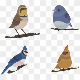 Bird Winter Euclidean Vector - Птички Png, Transparent Png - cute birds png