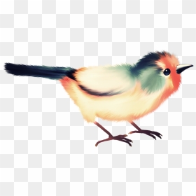 Фотки Birds, Bird Watching, Album, Cute, Clip Art, - Un Mot Avec La Lettre E Madrassati, HD Png Download - cute birds png