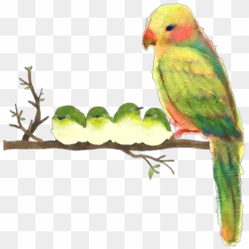 Ftestickers Watercolor Illustration Birds Parrots Cute - Watercolor Painting, HD Png Download - cute birds png