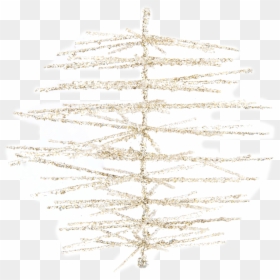 Tree, HD Png Download - pine needles png