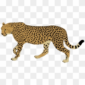 Cheetah Clipart Png, Transparent Png - bassoon png
