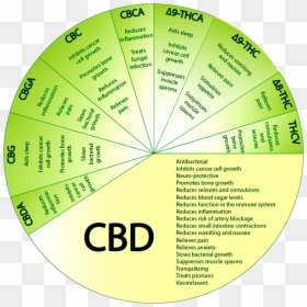 Benefits Of Smoking Cbd Flower, HD Png Download - tostilocos png