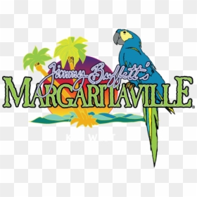 Margaritaville Pcb, HD Png Download - margaritaville logo png