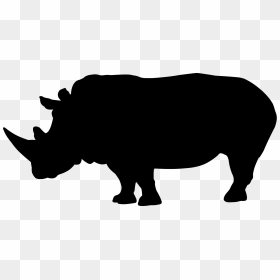 Rhino Silhouette Png, Transparent Png - rhinoceros png