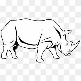 Outline Image Of Rhino, HD Png Download - rhinoceros png