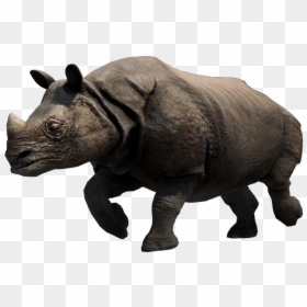 Karkadann Far Cry 4, HD Png Download - rhinoceros png