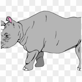 White Rhino Clipart, HD Png Download - rhinoceros png