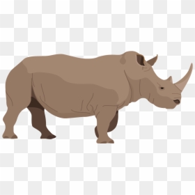 Black Rhinoceros, HD Png Download - rhinoceros png