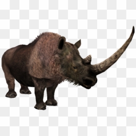 Woolly Rhino Png, Transparent Png - rhinoceros png