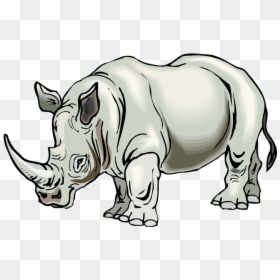 Rhino Clipart, HD Png Download - rhinoceros png
