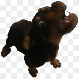 Angery Png, Transparent Png - angery png