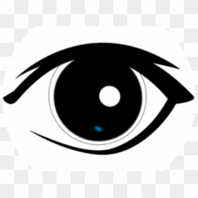 Poster On Donate Eyes, HD Png Download - monster eyes png