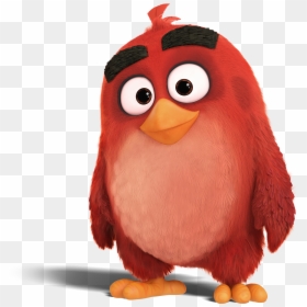 The Angry Birds Movie, HD Png Download - shopkin png