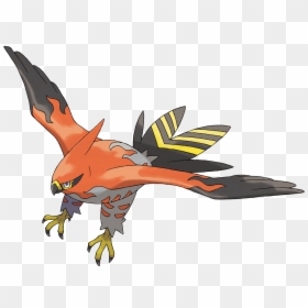 Pokemon Talonflame, HD Png Download - black flames png
