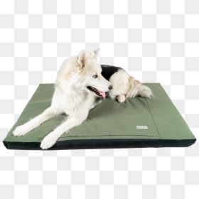 Wolfdog, HD Png Download - dog bed png