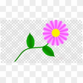 Clipart Transparent Background Airplane, HD Png Download - daisy clipart png