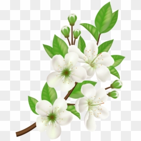 White Flower Vector Png, Transparent Png - white flower clipart png