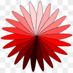Corel Draw Flower Logo, HD Png Download - daisy clipart png