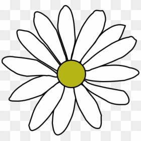 Simple Daisy Outline, HD Png Download - daisy clipart png