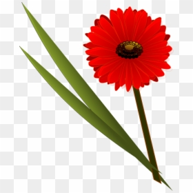 Flower Clip Art, HD Png Download - daisy clipart png