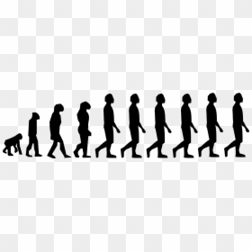Evolution And Inheritance Year 6, HD Png Download - humans png