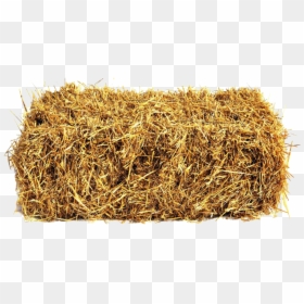 Hay Flashcard, HD Png Download - bale png
