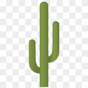 Cactus Del Desierto Png, Transparent Png - desert plants png