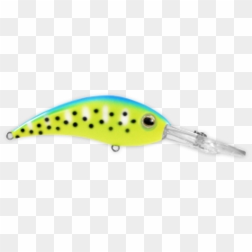 Bait Fish, HD Png Download - banshee png