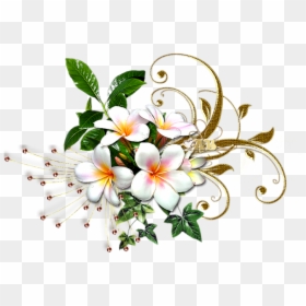 Calochortus, HD Png Download - gold flowers png
