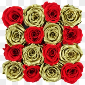 Garden Roses, HD Png Download - gold flowers png