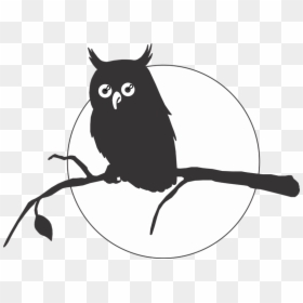 Owl Silhouette Drawing Clip Art - Shadow Of Owl On Branch, HD Png Download - aves png