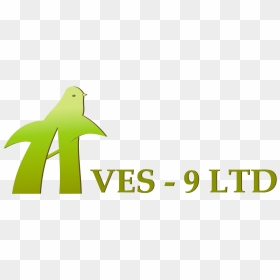Transparent Aves Png, Png Download - aves png