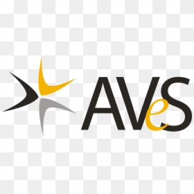 Aves Cyber Security, HD Png Download - aves png