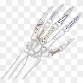 Transparent Bone Hand Png, Png Download - skeleton hands png