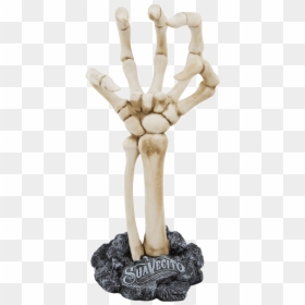 Suavecito Skeleton Hand Display, HD Png Download - skeleton hands png