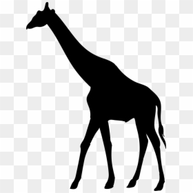 Giraffe African Animal Silhouette, HD Png Download - africa silhouette png