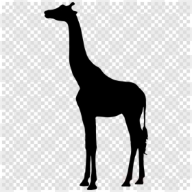 Silhouette Man Sitting Png, Transparent Png - africa silhouette png