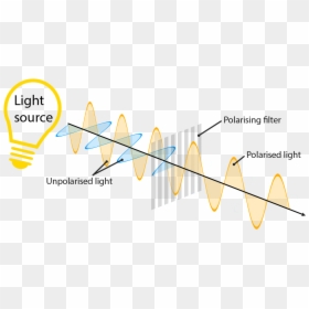 Polarization Of Light, HD Png Download - wave shape png