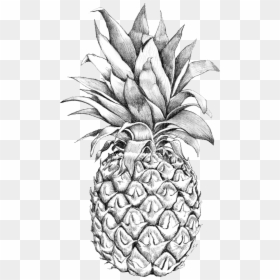 Pineapple Desktop Backgrounds, HD Png Download - black and white pineapple png
