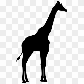 Giraffe Silhouette Transparent Background, HD Png Download - africa silhouette png
