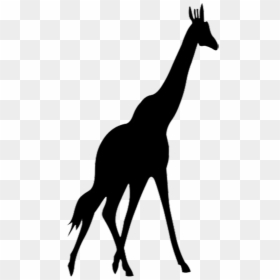 Silhouette Giraffe Clipart Png, Transparent Png - africa silhouette png