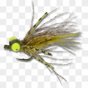 Insect, HD Png Download - grave digger png