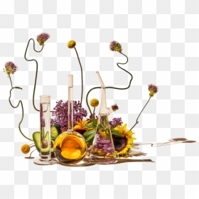 Bouquet, HD Png Download - ingredients png