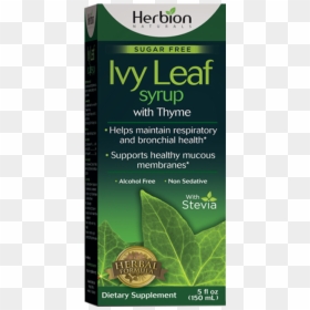 Cosmetics, HD Png Download - ivy leaf png